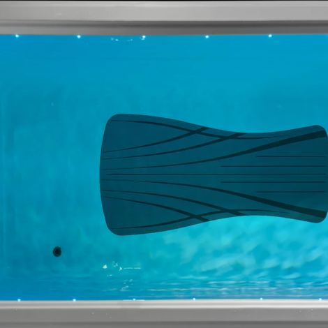 test33_86872376-a778-4d09-be3d-29a940d8b04f (1)