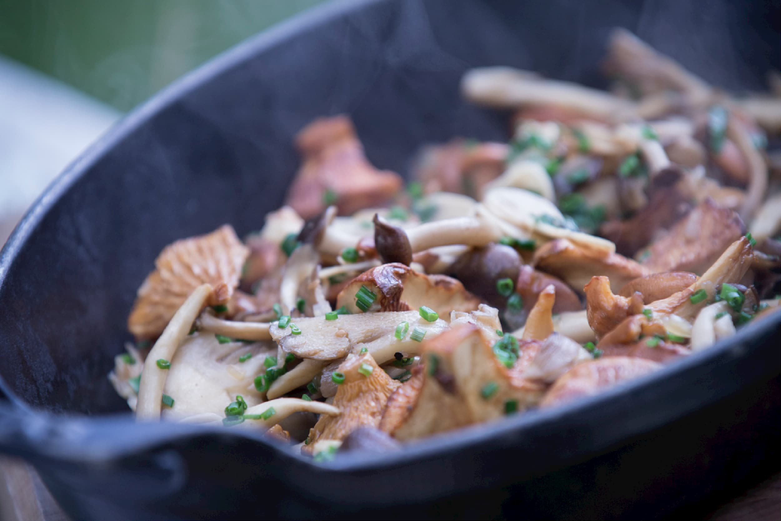 Sautéed mushrooms and herbs in a cast iron skillet